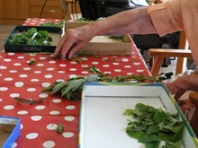 Gemeinsam wurden Blumensträuße kreiert