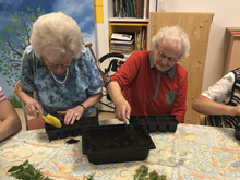 Der Garten vor Beginn des Projektes.