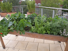 Der Sitzplatz ist fertig, Kübel und Pergola werden noch bepflanzt.