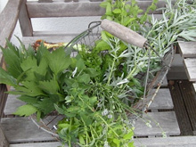 Selbst hergestellter Kräuterquark wird zusammen verzehrt