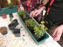 Im Herbst haben die Bewohner gemeinsam Balkonkästen bepflanzt.
