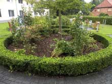 Frau G. und S. pikieren Kapuzinerkresse