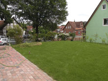 Frau G. und S. pikieren Kapuzinerkresse