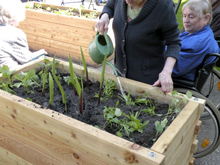 Die Pflanzen werden durch das Gartenjahr hindurch von den Bewohnern versorgt.