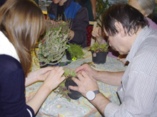 Pflanzen werden geputzt und ausgetopft.